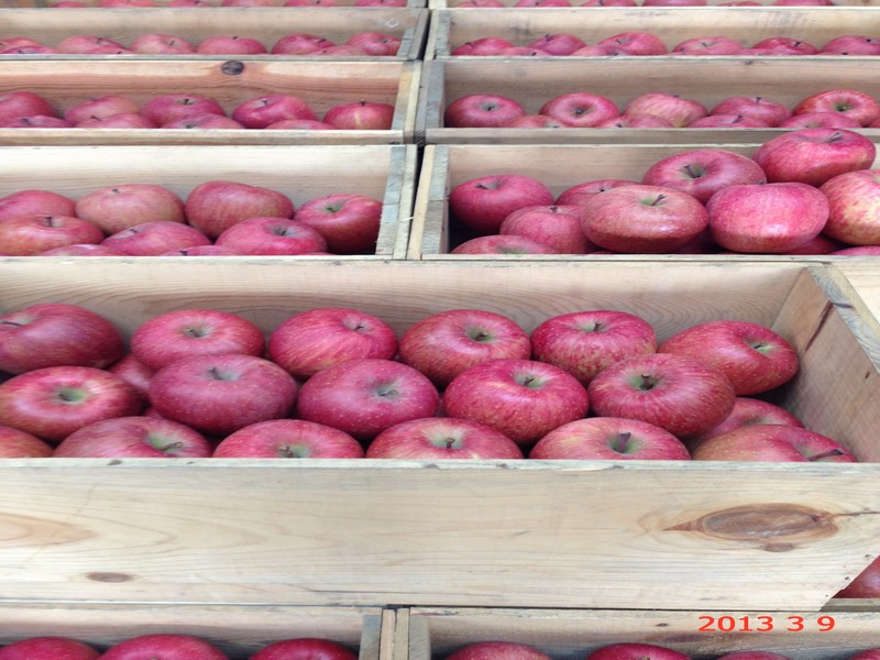 1705289000613858.jpg ba416621349287d176a1cb967ef4d0a0_3-b.jpg