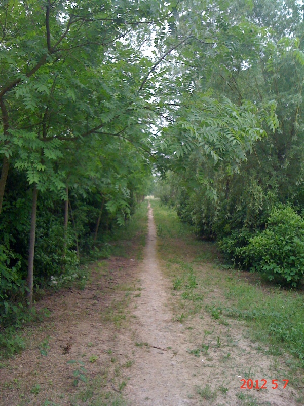 南通錦繡河山苗木5月份最新動態(tài)
