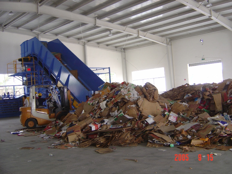 1705303655547147.jpg 817b8419b47cd287b1028ed7905fa35c_DSC04330.JPG